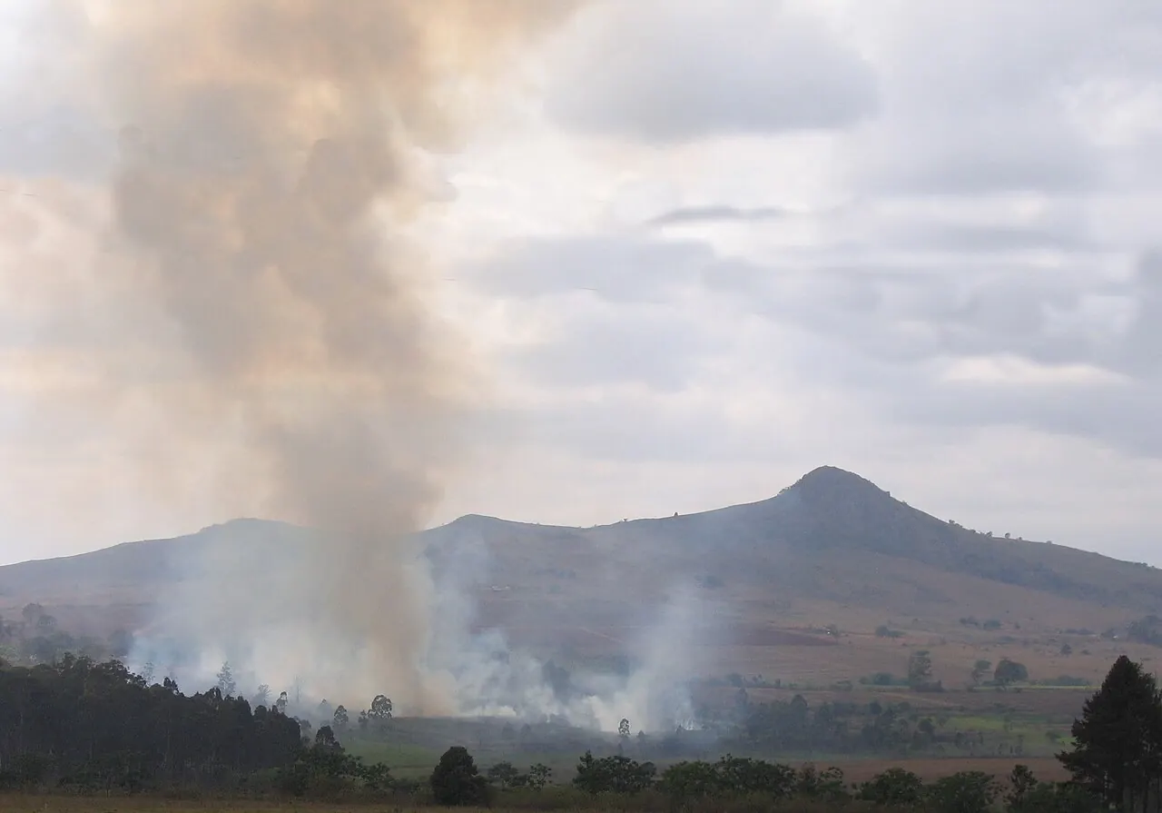 Smoke rising from a bush fire on a hill