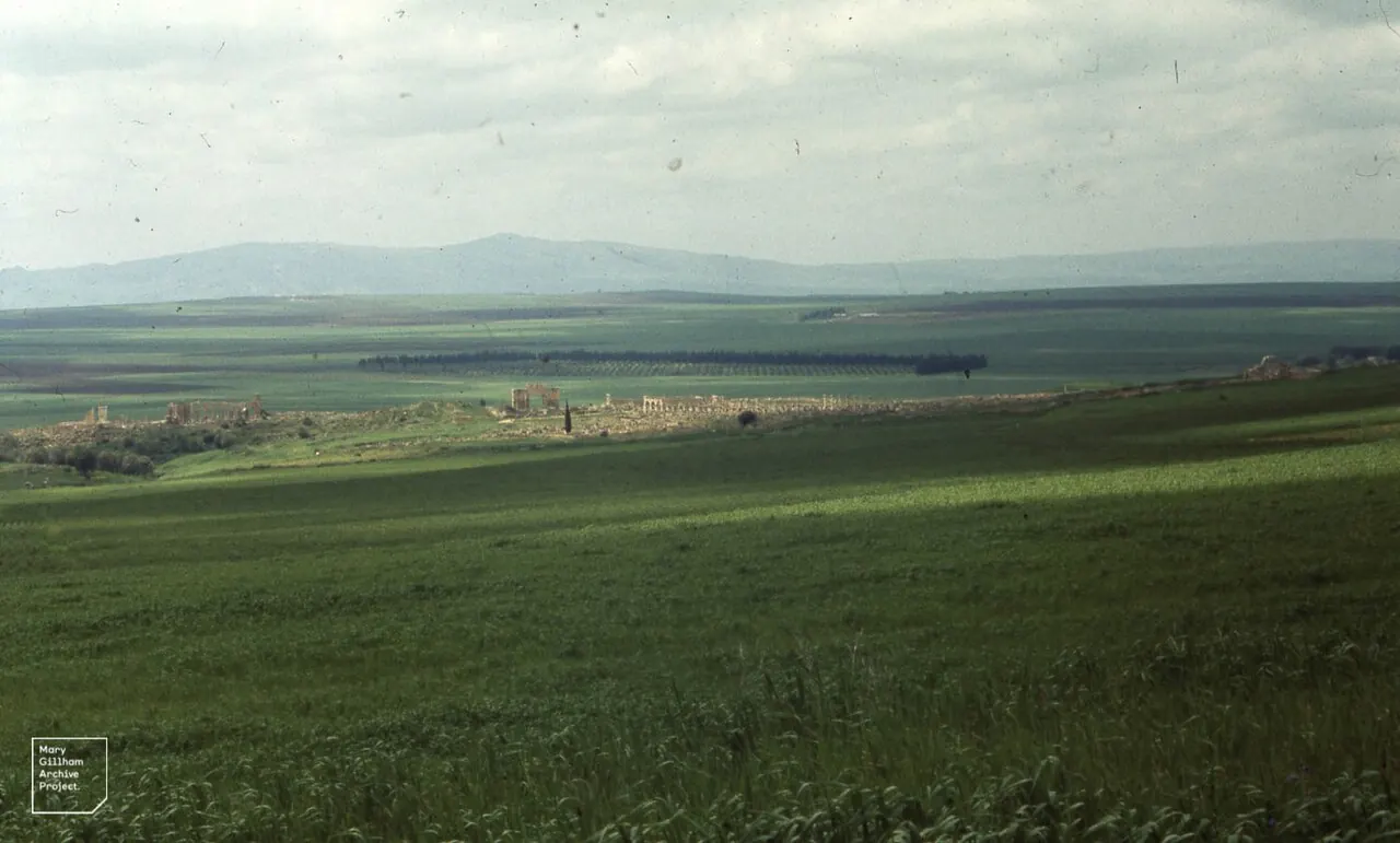 A wide green plain under a hazy sky
