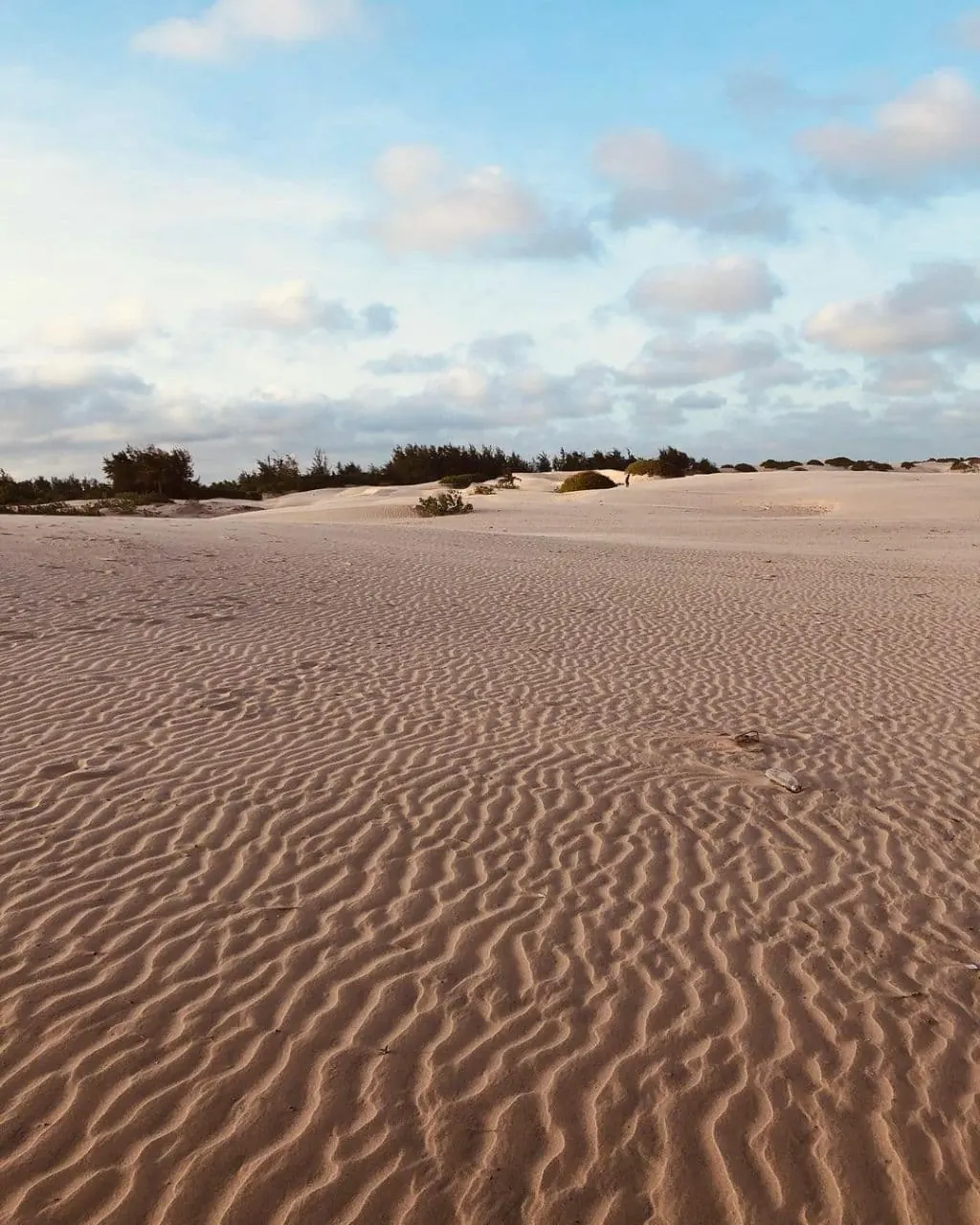 Rippled sand dunes under a pale sky