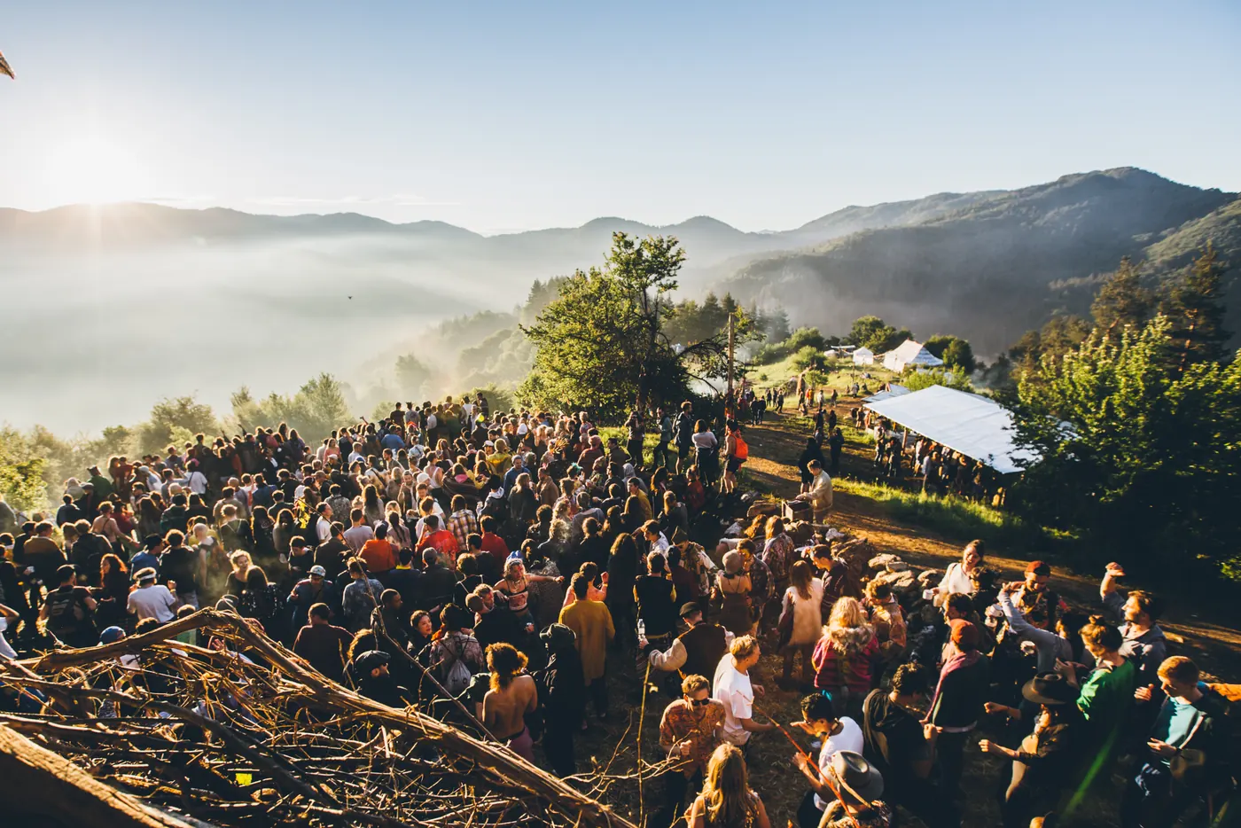 A crowd on a hillside at sunset