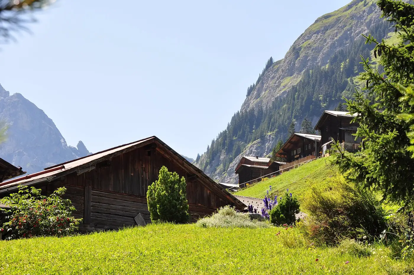 Wooden chalets on a green slope under a mountain