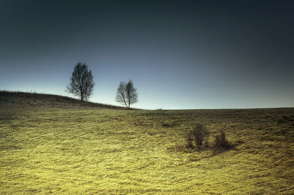 A tree on a grassy hill under a dark sky