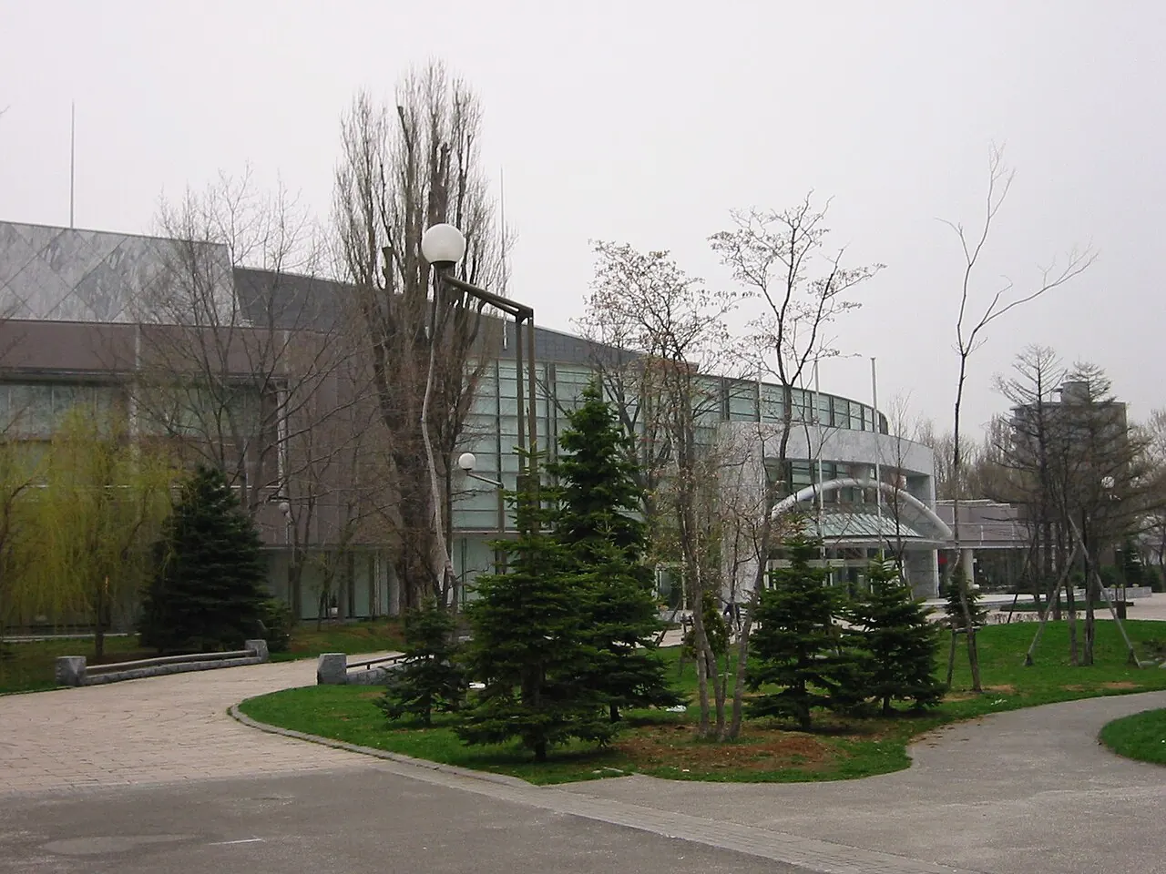 A path through pine trees beside the concert hall