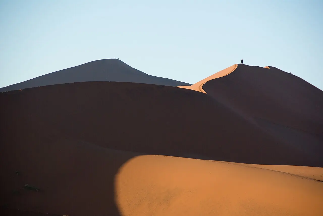Dark dune ridges and orange sand