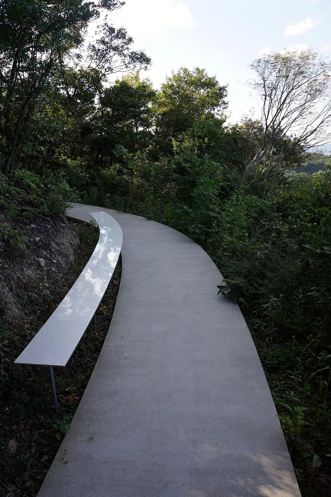 A narrow path curving through woodland