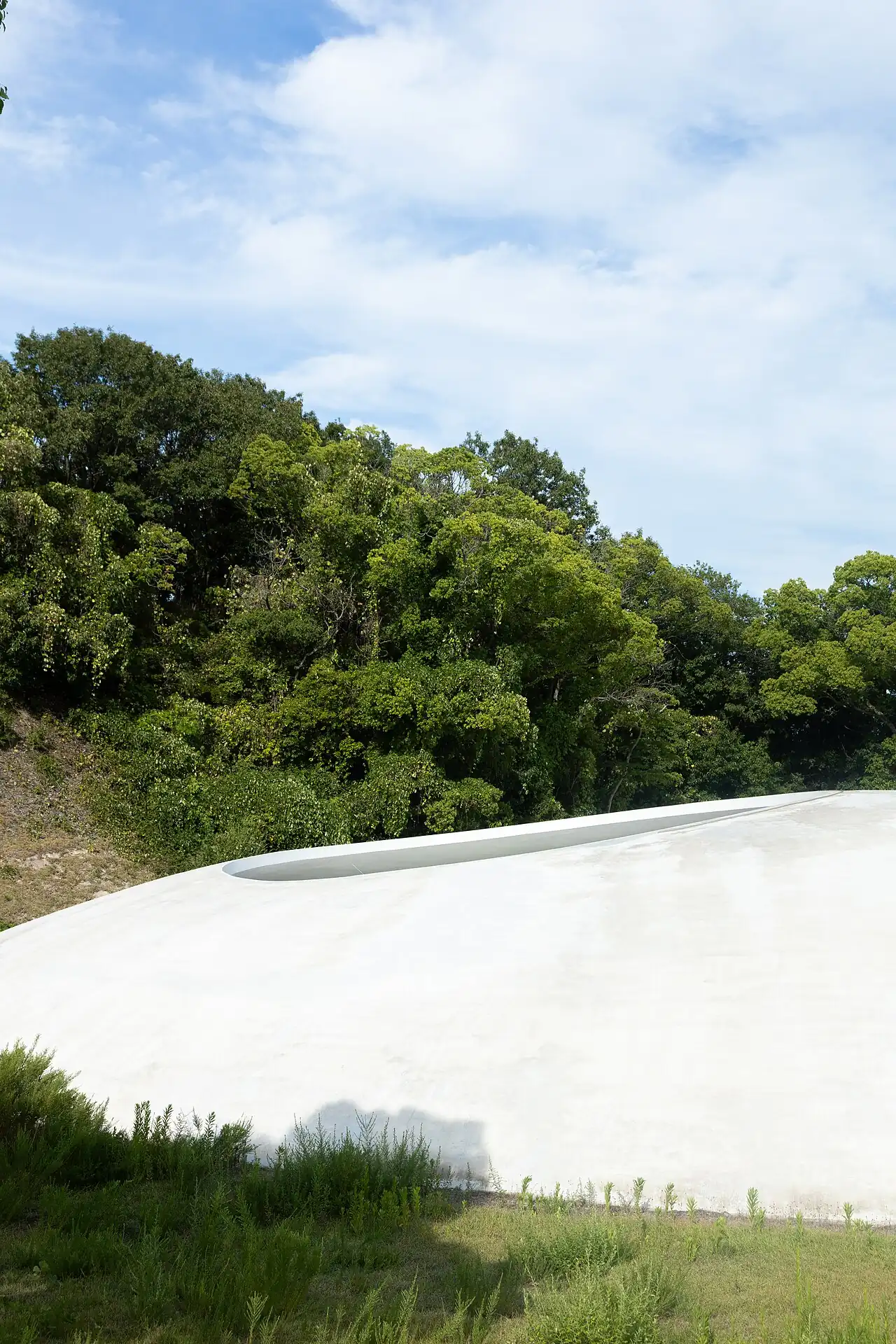 A white concrete wall on a wooded slope