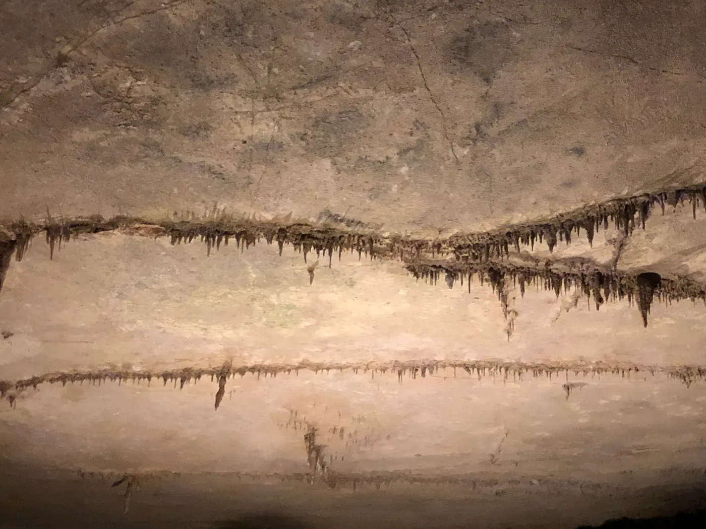 A cave wall with a narrow mineral ledge
