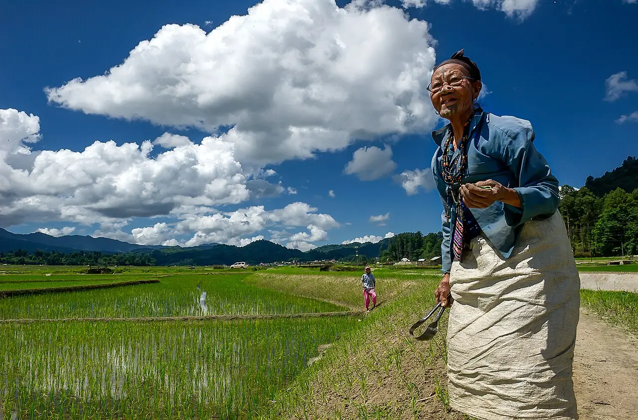 A woman laughing in a rice field in the Ziro valley