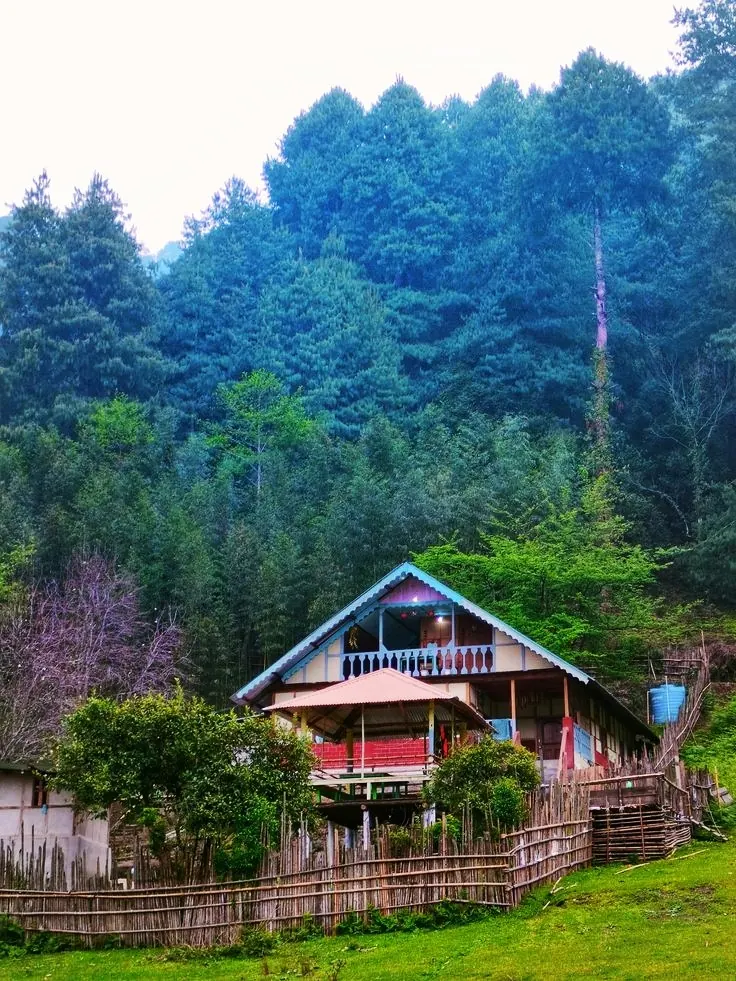 A wooden house with a red roof among pine trees