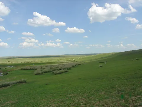 A green Mongolian steppe under a blue sky with white clouds