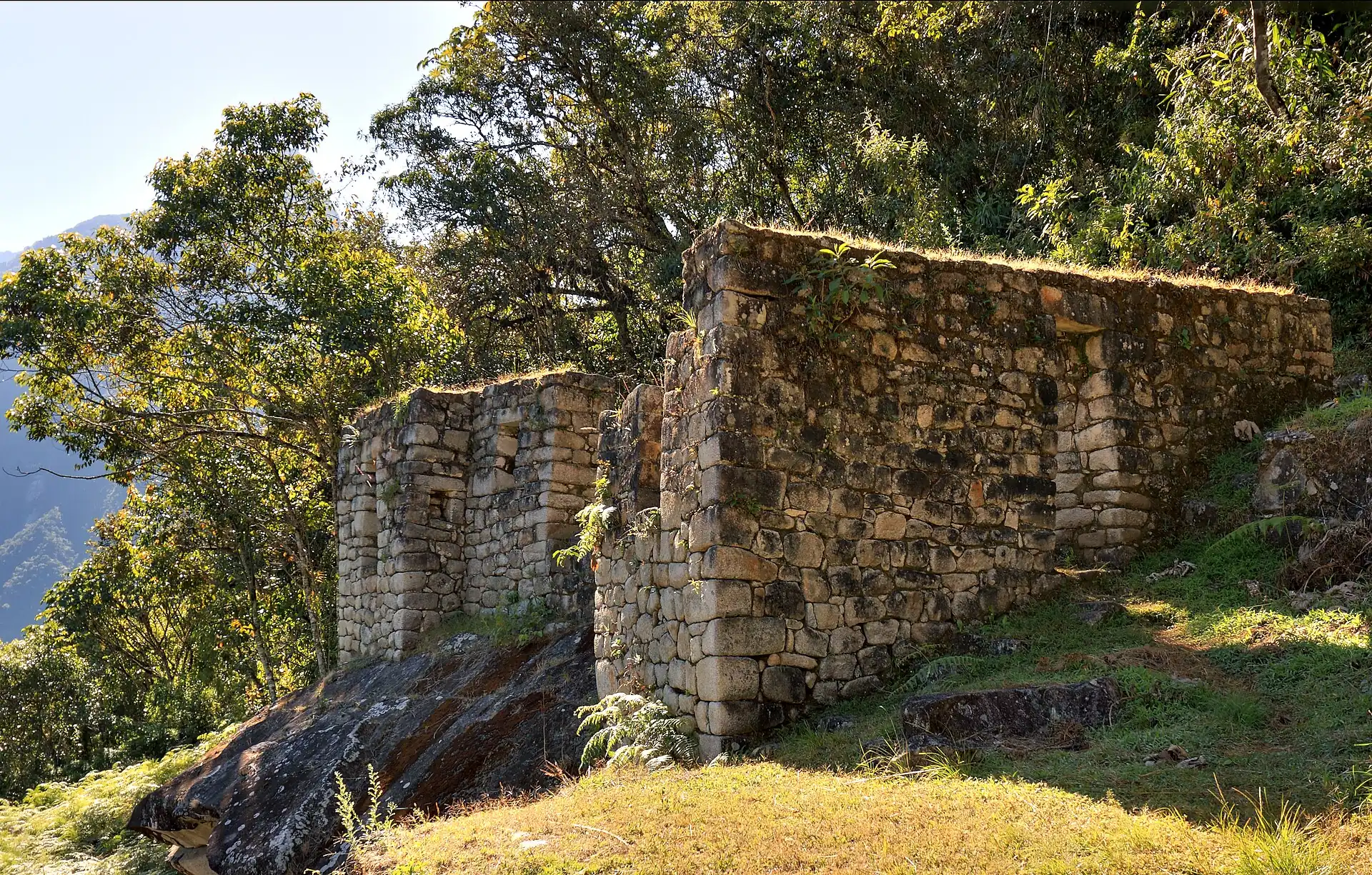Ancient stone walls among trees at the Temple of the Moon, Peru