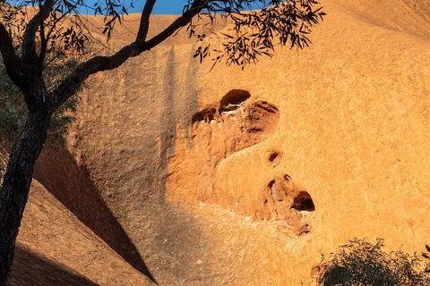 Uluru's orange rock face with a pitted surface in low sun