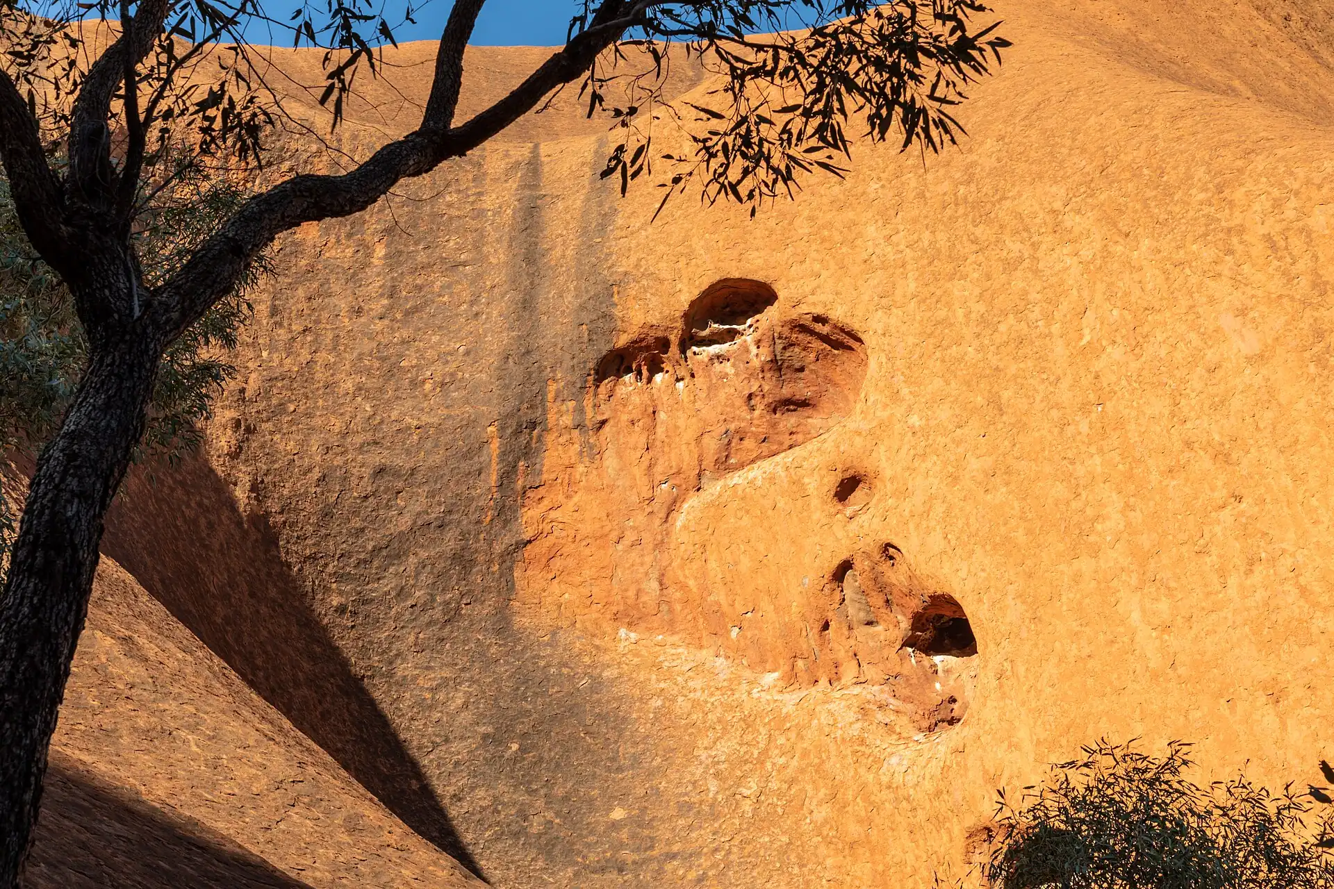 Uluru's orange rock face with a pitted surface in low sun