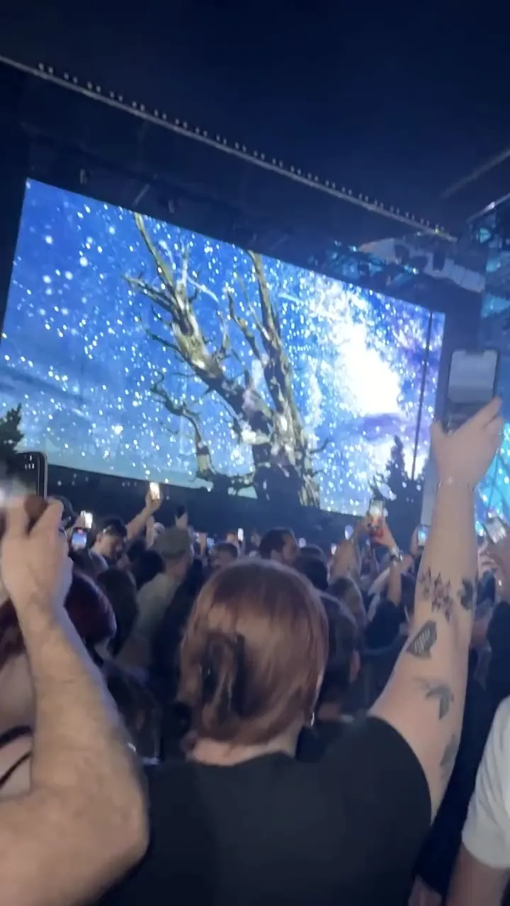 The stage screens showing a bare tree against a starfield, then the performers, a forest of raised hands in front